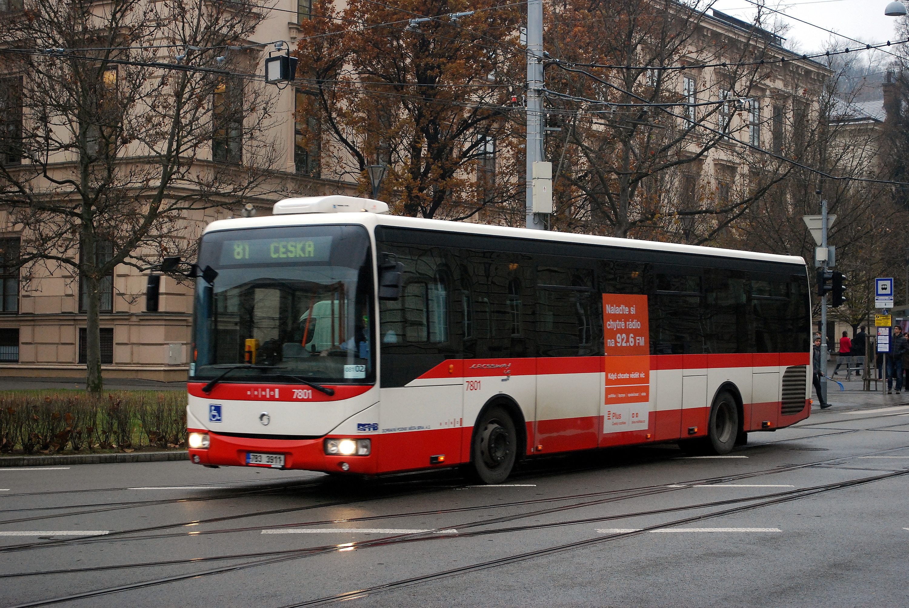 81 &#268;eská &#268;eská