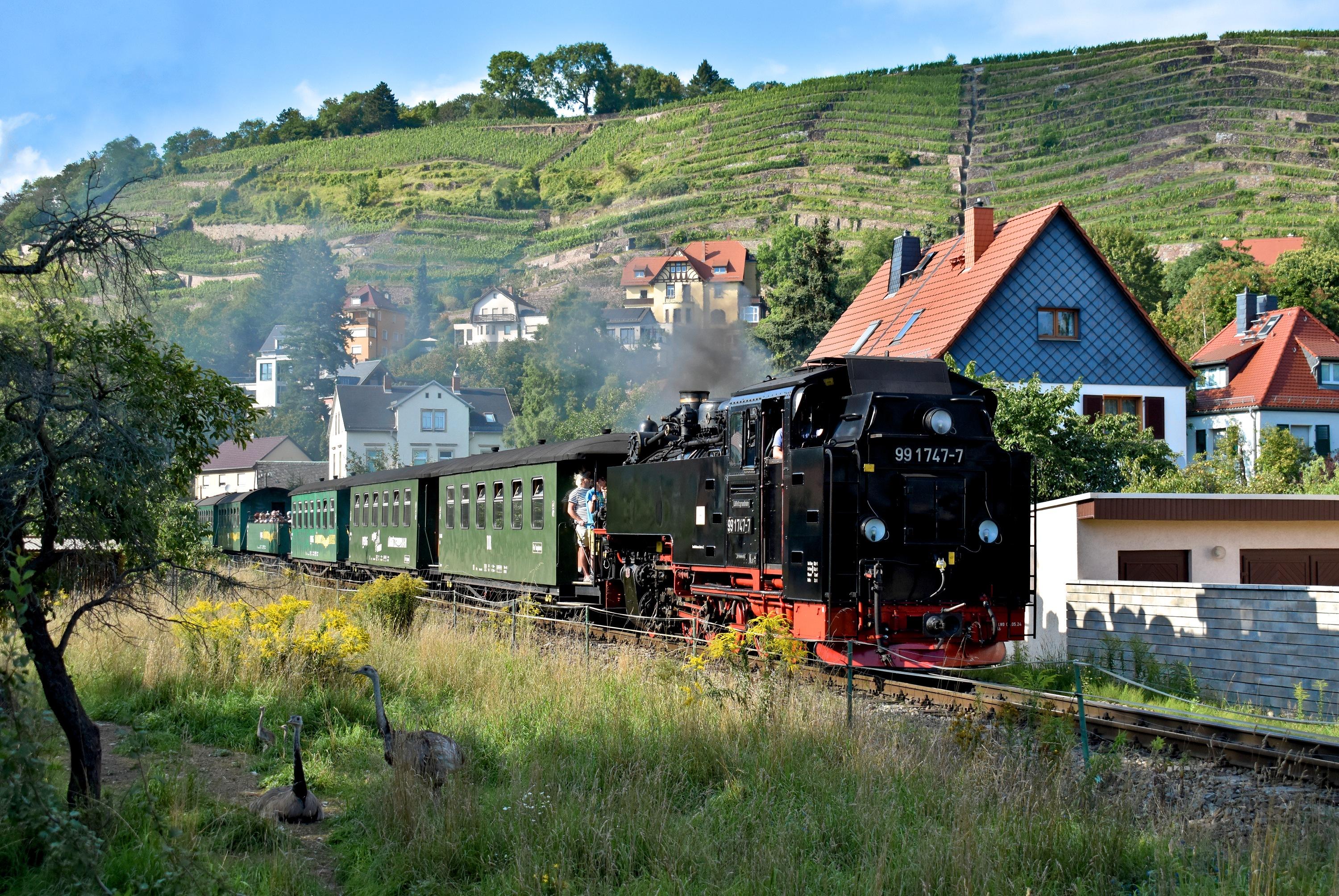 Lößnitzgrundbahn  Lößnitzgrund