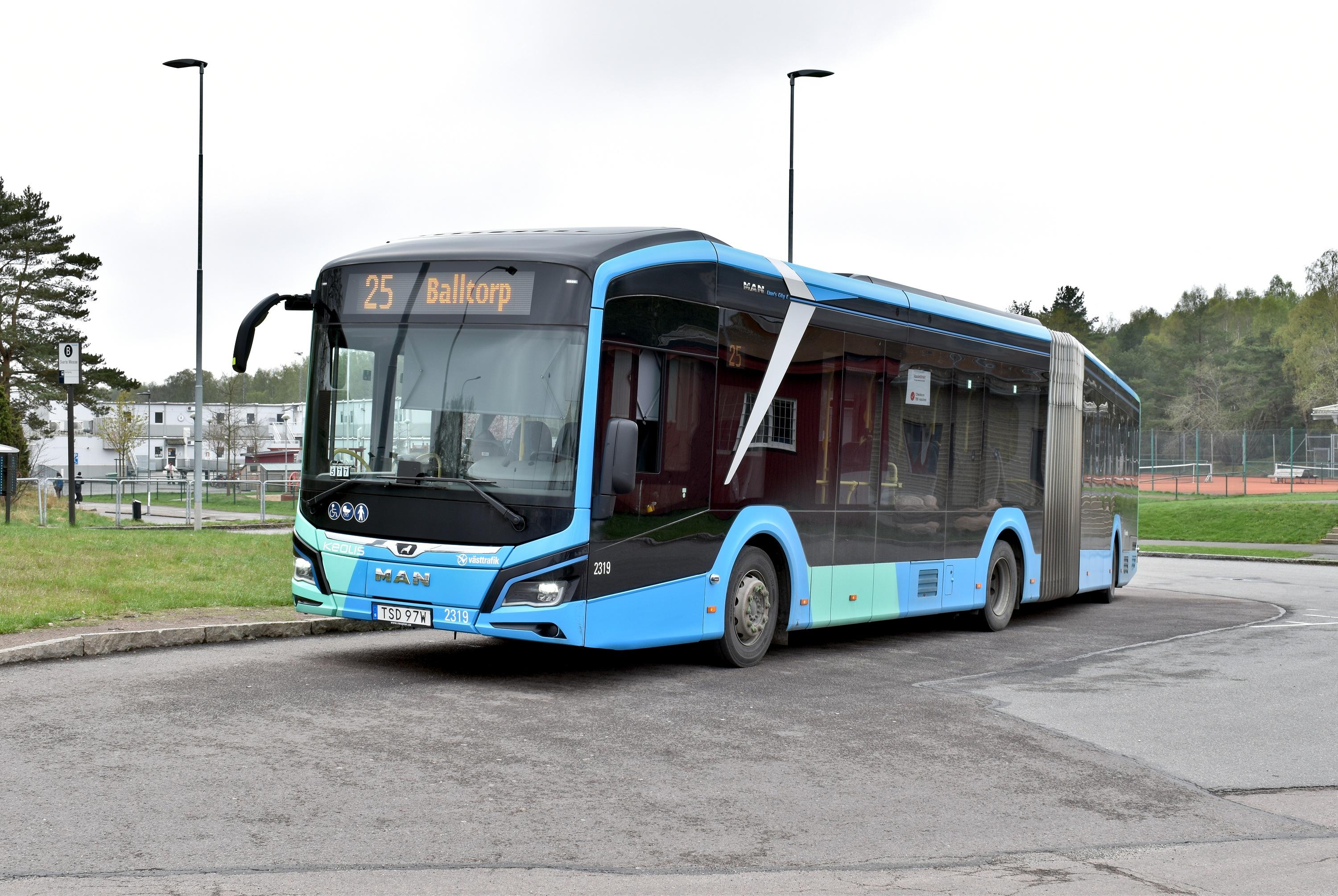 25 Balltorp Svarte Mosse