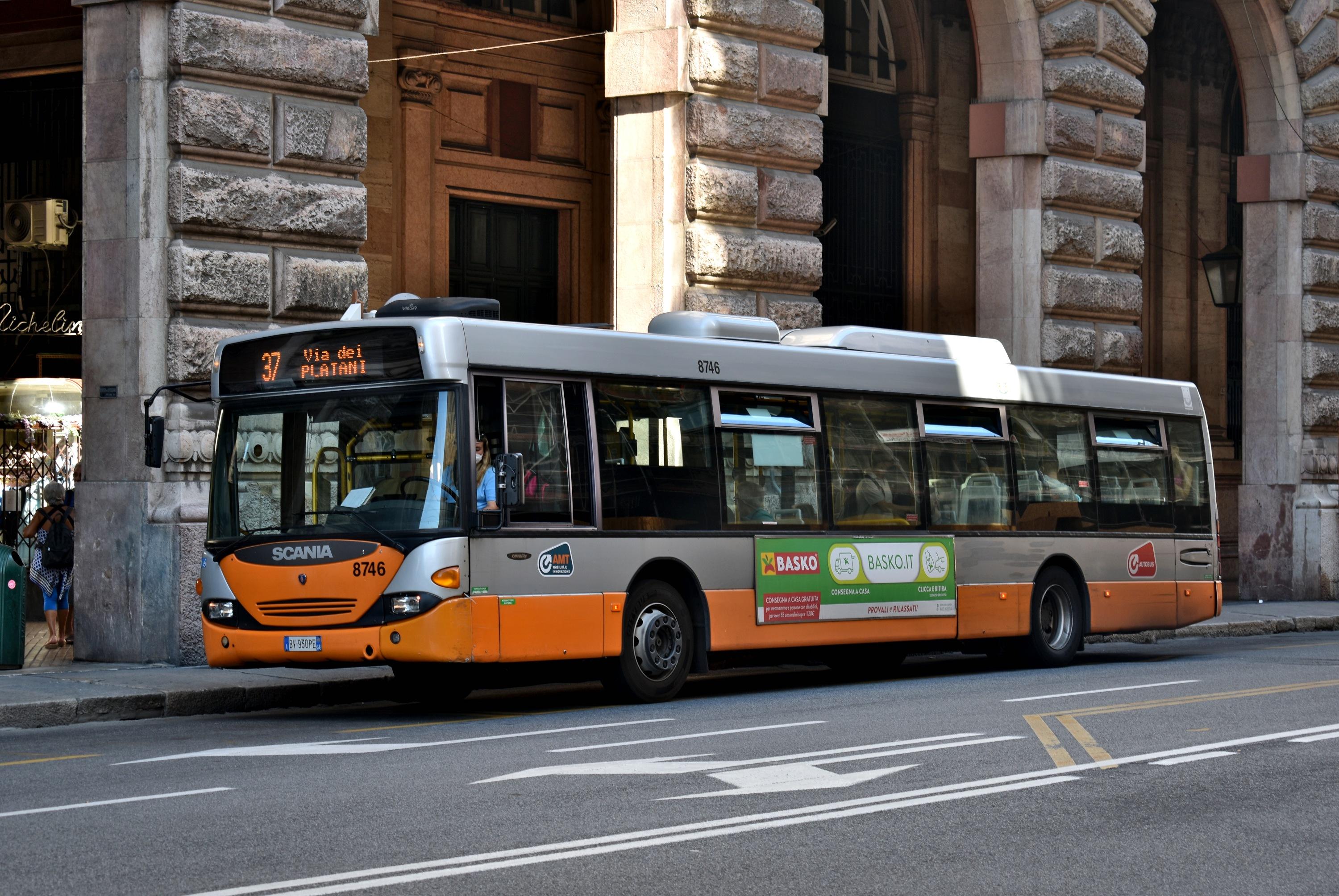 37 Platani / Scuola Dante / De Ferrari