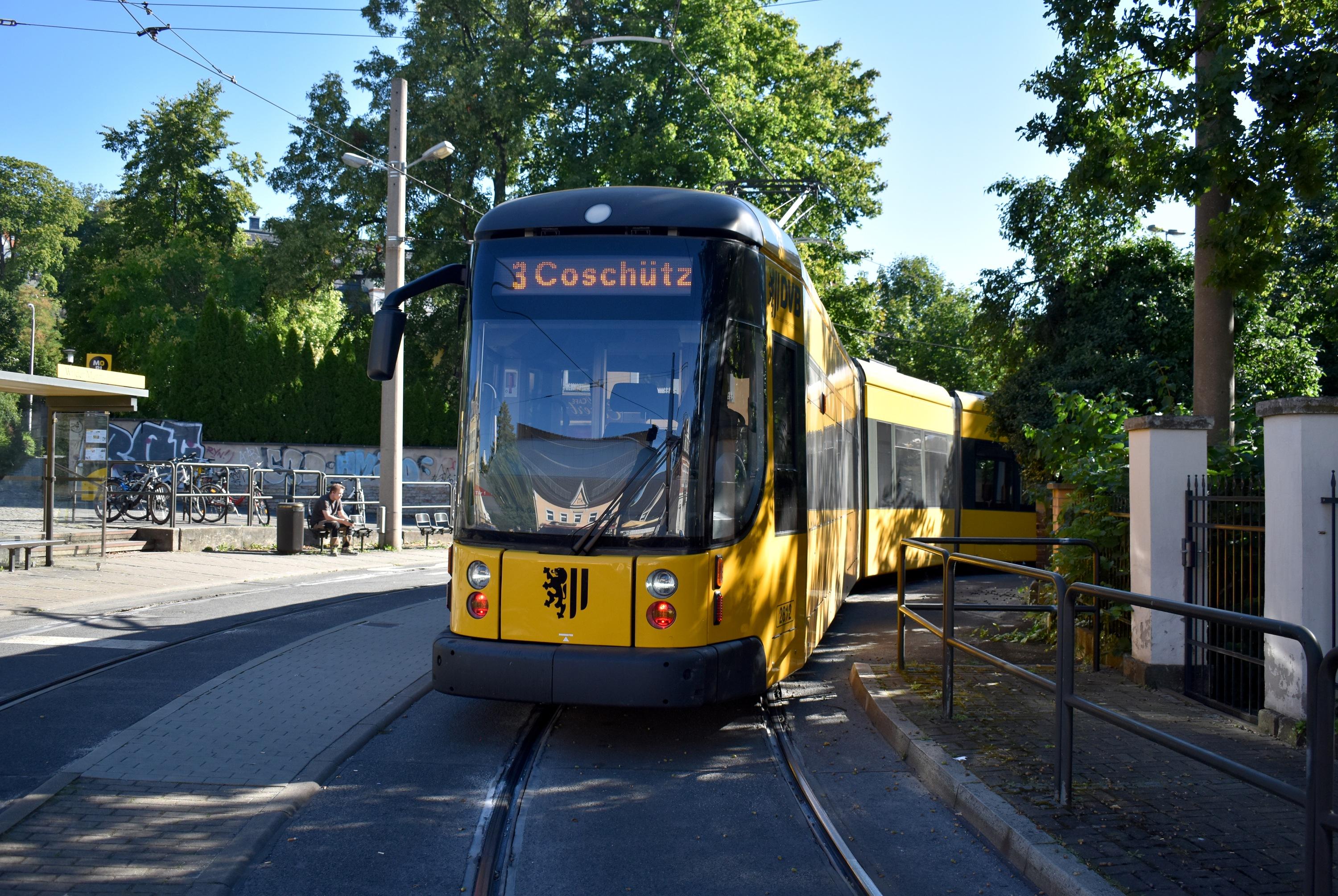 3 DD-Coschütz DD-Wilder Mann