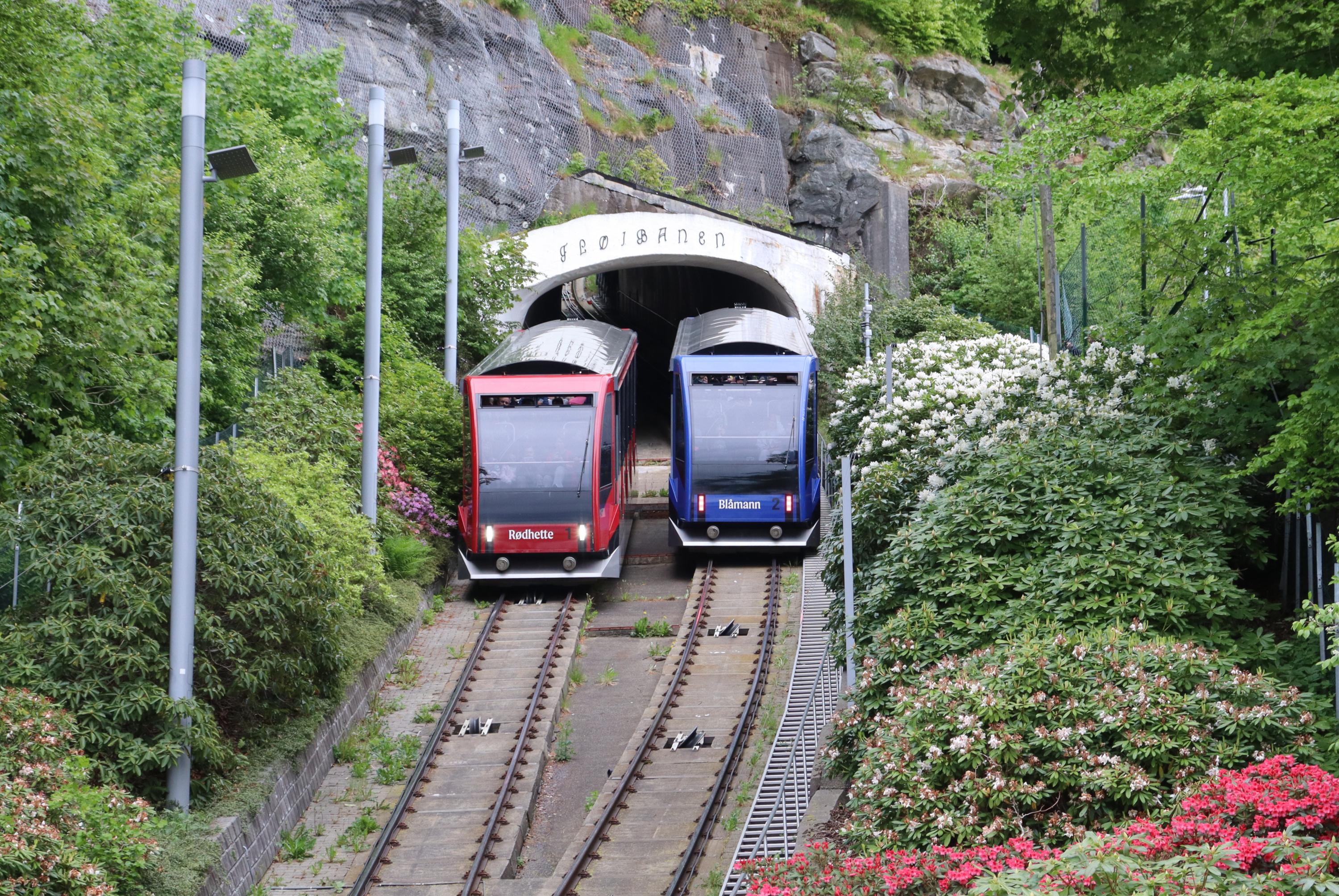 Fl&oslash;ibanen  Fjellveien