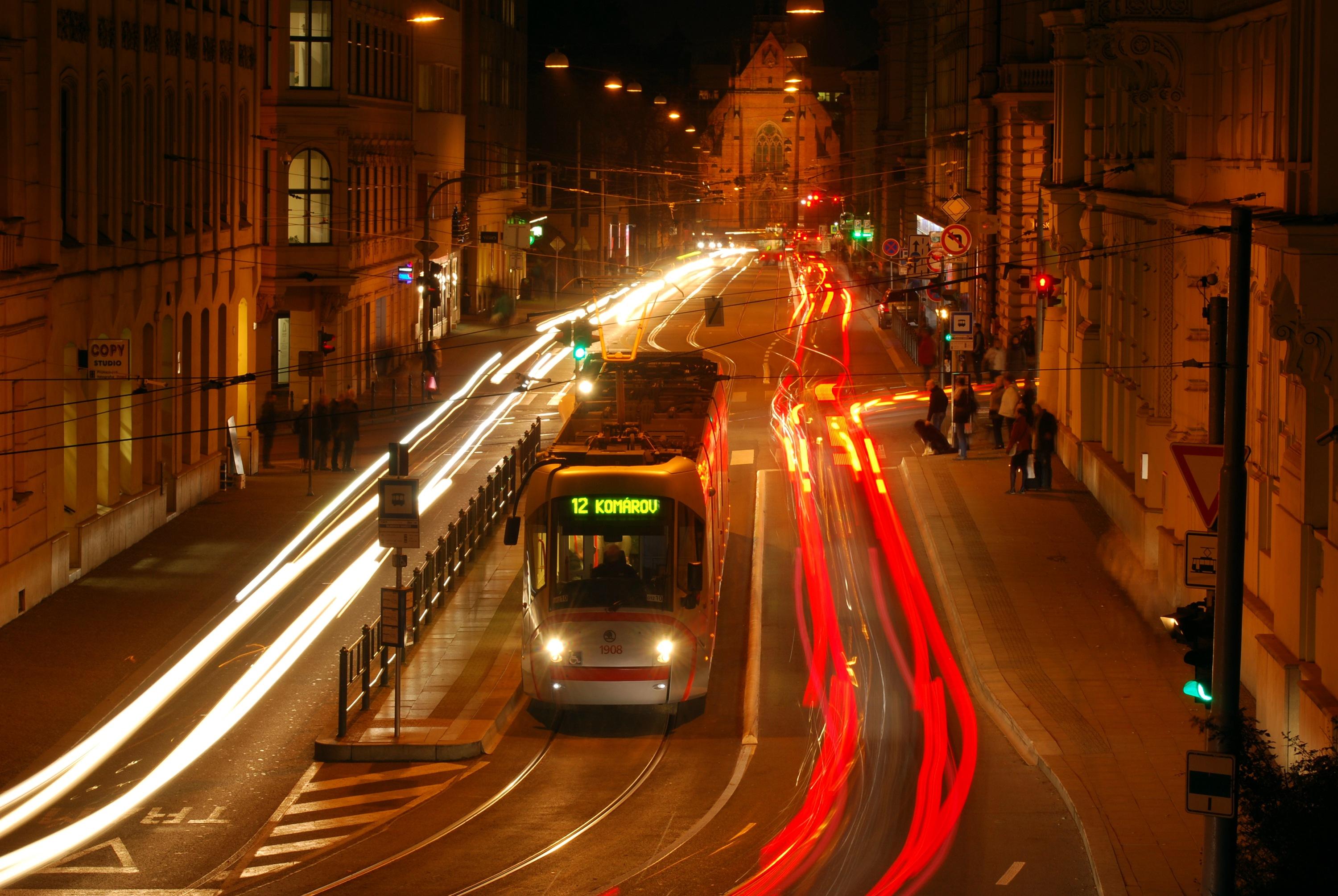 Bild des Monats 01/2026